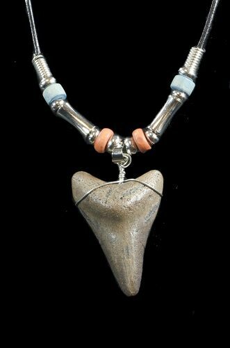 Fossil Megalodon Tooth Necklace #43067